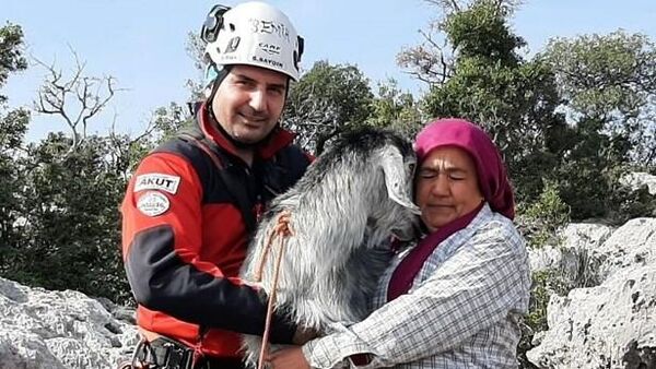 Uçurumda mahsur kalan keçiler kurtarıldı - Sputnik Türkiye