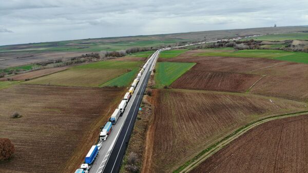 Bulgaristan'a açılan Hamzabeyli Sınır Kapısı'nda 25 kilometre TIR kuyruğu oluştu - Sputnik Türkiye