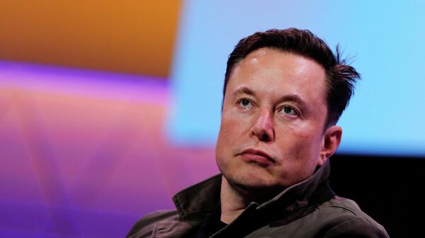 Tesla CEO'su Elon Musk - Sputnik Türkiye