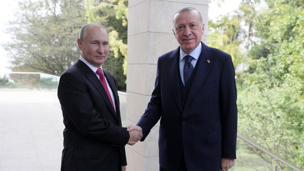 Putin'in Erdoğan ile görüşmesi - Sputnik Türkiye