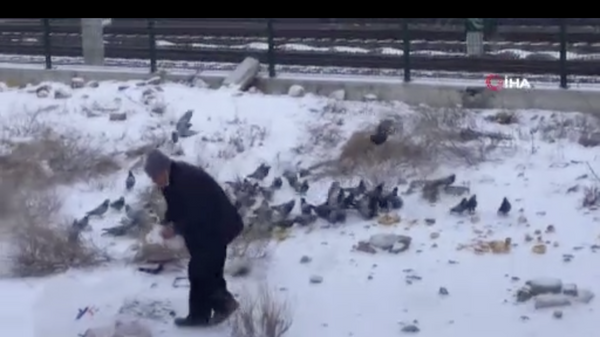 Ankara’da 73 yaşındaki yaşlı adam soğuk havalarda sokak sokak dolaşarak çöplerden topladığı ekmeklerle sokak hayvanlarını besliyor. - Sputnik Türkiye