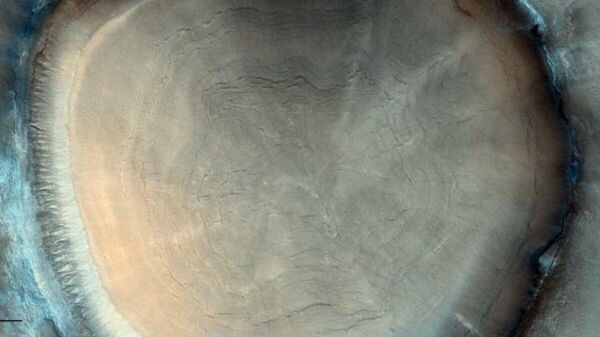Ağaç kütüğüne benzetilmişti: Mars'ta çekilen fotoğrafın sırrı çözüldü - Sputnik Türkiye