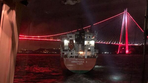 İstanbul Boğazı'nda gemi trafiğinin, bir kargo gemisinin Poyrazköy önlerinde makine arızası yapması nedeniyle çift yönlü askıya alındığı bildirildi. - Sputnik Türkiye