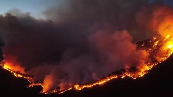 Meksika’da 33 ayrı noktada orman yangını - Sputnik Türkiye