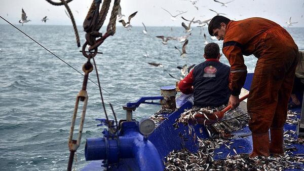 Denizlerde av yasağı başladı - Sputnik Türkiye