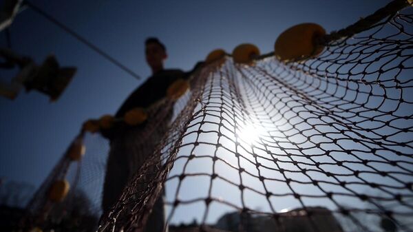 Batı Karadeniz'de balıkçılar - Sputnik Türkiye