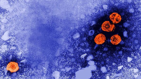 Hepatit B virüsünün mikroskobik görüntüsü - Sputnik Türkiye
