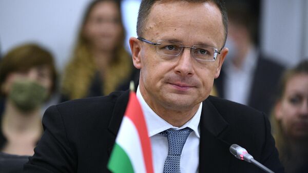 Peter Szijjarto - Sputnik Türkiye