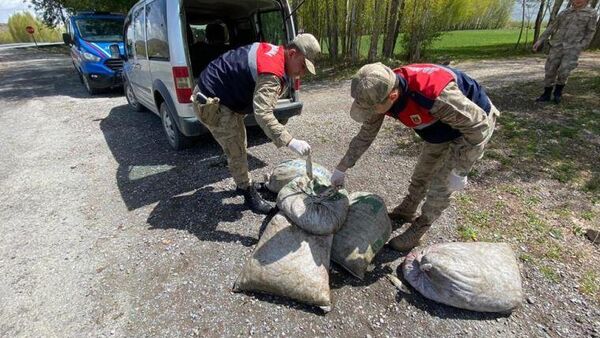 Van'da kaçak avlanan 450 kilo inci kefali ele geçirildi - Sputnik Türkiye