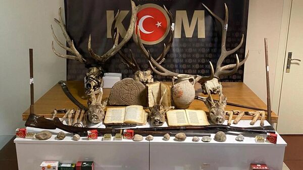 Evinde geyik ve karaca kafaları ele geçirilen kişiye 180 bin TL ceza - Sputnik Türkiye