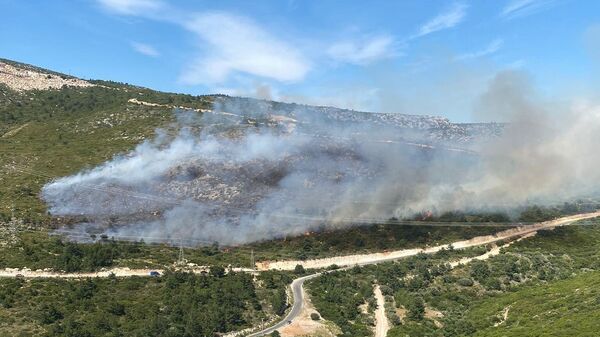 İzmir'in Karaburun ve Dikili ilçelerinde makilik ve ormanlık iki alanda yangın çıktı. - Sputnik Türkiye