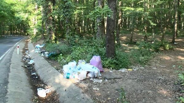 Belgrad Ormanı'nda çöp yığınları oluştu - Sputnik Türkiye