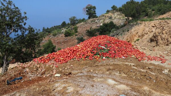  Antalya’nın Gazipaşa ilçesinde çöp tesisine atılan sebzeler  - Sputnik Türkiye