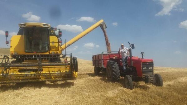 Diyarbakırlı çiftçiye hasat şoku: 30 ton tohum 10 ton buğday verdi - Sputnik Türkiye