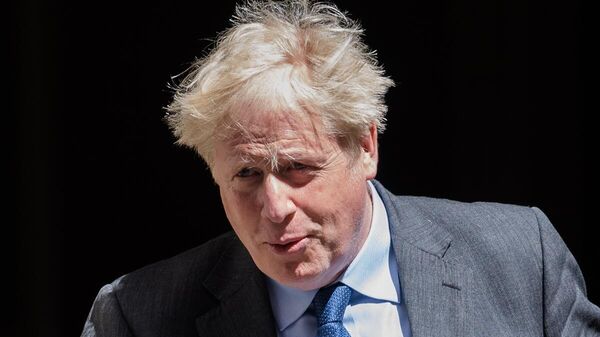İngiltere Başbakanı Boris Johnson, - Sputnik Türkiye