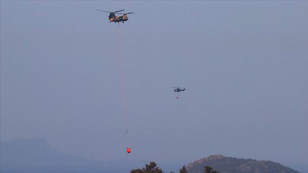 Marmaris'teki yangının söndürülmesi için askeri helikopterler 201 sorti yaptı - Sputnik Türkiye