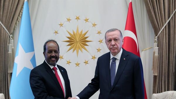 Cumhurbaşkanı Erdoğan, Somali Cumhurbaşkanı Hasan Şeyh Mahmud - Sputnik Türkiye