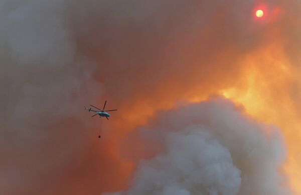 Muğla'nın Datça ilçesindeki orman yangınıyla mücadele eden helikopter. - Sputnik Türkiye