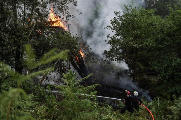 Fransa'da çıkan orman yangınını söndürme çalışmalarını yürüten itfaiye ekipleri - Sputnik Türkiye