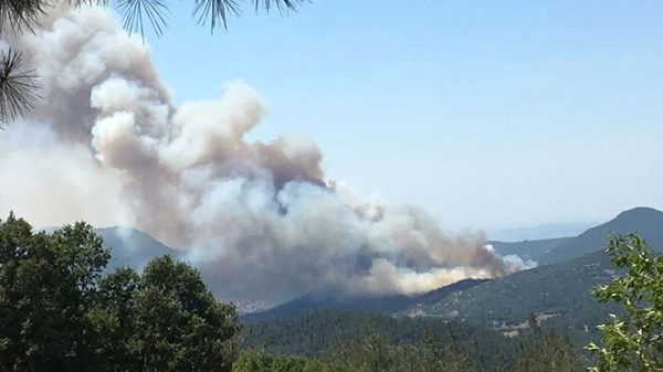 Balıkesir'de çıkan orman yangınına ekiplerin havadan ve karadan müdahalesi devam ediyor. - Sputnik Türkiye