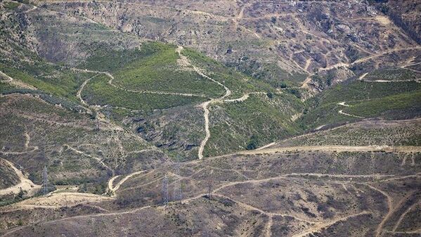 Antalya'da yanan ormanlık alanlar yeniden yeşeriyor: 1 milyon 645 bin fidan toprakla buluştu - Sputnik Türkiye
