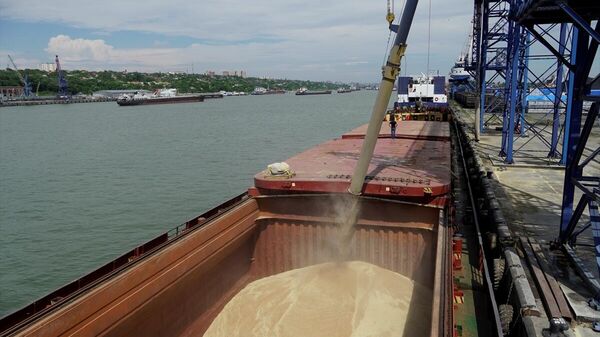 Rusya'nın Rostov-On-Don Limanı'nda, sevkiyatı yapılacak tahıllar gemilere yükleniyor - Sputnik Türkiye