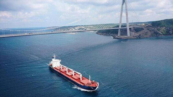 Ukrayna'dan yola çıkan mısır yüklü gemi Razoni, İstanbul'dan hareket etti       - Sputnik Türkiye
