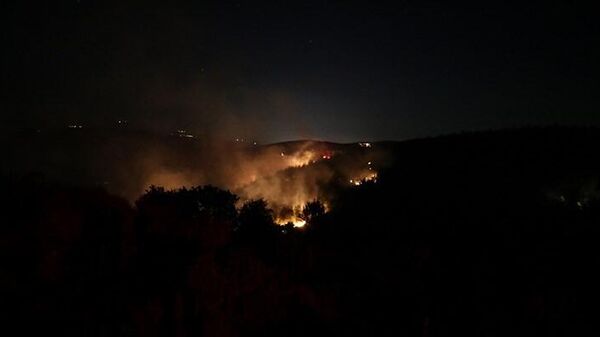 Balıkesir'in Susurluk ilçesindeki orman yangınında hasar oluştu. Yangının kontrol altına alındığı bildirildi. - Sputnik Türkiye
