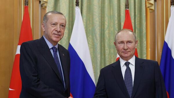 Erdoğan-Putin 5 Ağustos Soçi Zirvesi - Sputnik Türkiye
