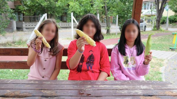 Evinin bahçesinden 3 tane mısır alan 3 kız çocuğunu tekme ve yumruklarla darp etti - Sputnik Türkiye