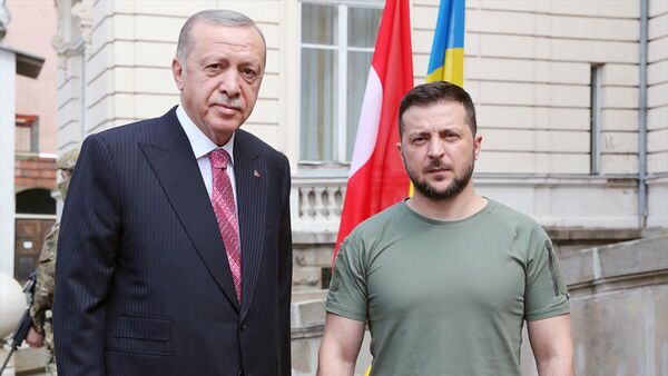 Cumhurbaşkanı Erdoğan'ın Ukrayna Devlet Başkanı Zelenskiy ile görüşmesi başladı - Sputnik Türkiye
