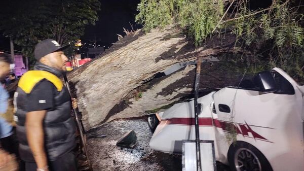 Meksika’da en az 30 ton ağırlığındaki ağacın minibüsün üzerine devrildi. Olayda bir kişi hayatını kaybetti, bir kişi de yaralandı.
 - Sputnik Türkiye