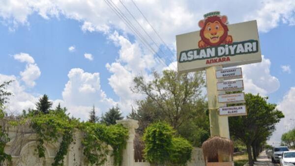 Ankara'daki hayvanat bahçesi kapatılıyor: 'Kükreme sesleri psikolojiyi bozdu' - Sputnik Türkiye