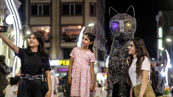 Hurda malzemelerle yapılan 650 kilogramlık Van kedisi heykeli - Sputnik Türkiye