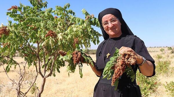 14 dil bilen, 22 kitap yazan rahibe, Midyat'a dönerek tarıma başladı - Sputnik Türkiye