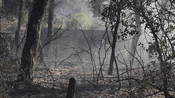 İzmir'in Bornova ilçesinde kovandaki araları uzaklaştırmak için tütsü yapan aracı orman yangınına neden oldu. 8 dakikada bölgeye gelerek ilk müdahalenin yapıldığı yangın, ekiplerin 2.5 saat süren çabasıyla kontrol altına alındı. 3 hektar alanın tahrip olduğu yangını çıkarttığı belirlenen arıcı hakkında yasal işlem başlatıldı. - Sputnik Türkiye