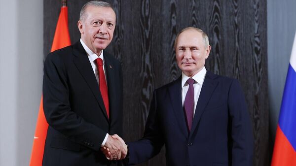 Cumhurbaşkanı Erdoğan'ın, Rusya Devlet Başkanı Putin ile görüştü - Sputnik Türkiye
