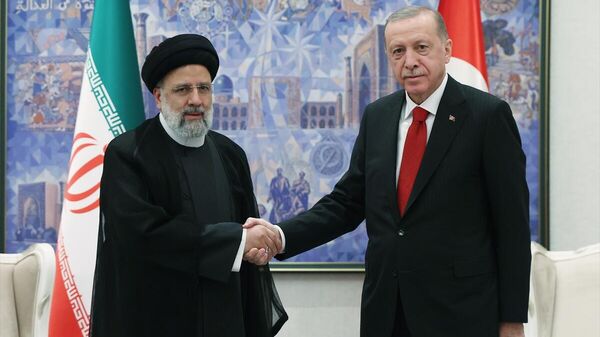 Cumhurbaşkanı Erdoğan, İran Cumhurbaşkanı Reisi ile bir araya geldi - Sputnik Türkiye