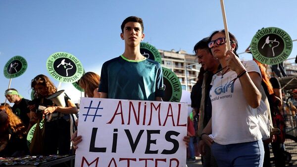 İspanya'daki 'Hayvanlara Kötü Muameleye Karşı Hayvanseverler Partisi' (PACMA), boğa güreşlerinin yasaklanması talebiyle başkent Madrid'deki Las Ventas arenası önünde gösteri yaptı. - Sputnik Türkiye