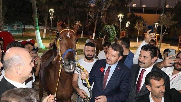 Bakan Soylu'ya 'Suruç' isimli yarış atı hediye edildi - Sputnik Türkiye