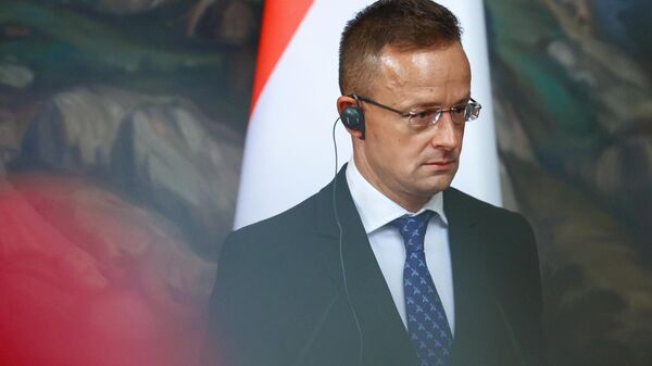 Macaristan Dışişleri Bakanı Peter Szijjarto - Sputnik Türkiye