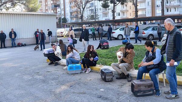 Evcil hayvan sahiplerinin 'çip taktırma’ sırası - Sputnik Türkiye