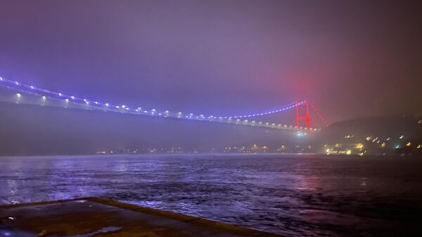 İstanbul Boğazı'nda dün sabah başlayan yoğun sis etkisini sürdürüyor. Şehir Hatları tarafından bazı seferlerin iptal edildiği duyuruldu. - Sputnik Türkiye