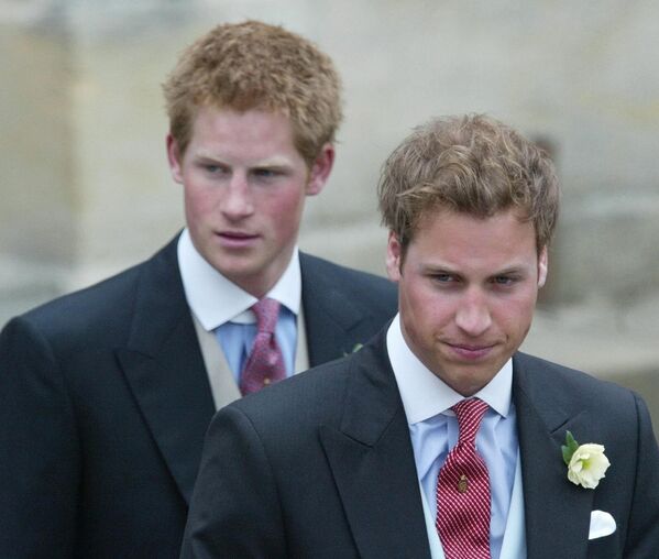 Hayatını 'bir oyalama, eğlence kaynağı ve ihtiyaç halinde yedek parça sunma görevi' olarak tanımlayan Harry, William'ın başına bir şey gelmesi ihtimali nedeniyle dünyada olma fikrinin ona çocuk yaşlardan itibaren sık sık açıkça belirtildiğini ifade etti. - Sputnik Türkiye