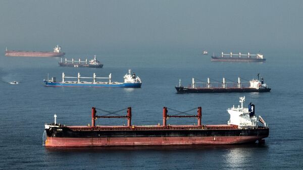 İstanbul Boğazı'nda geçici olarak askıya alınan gemi trafiği  - Sputnik Türkiye
