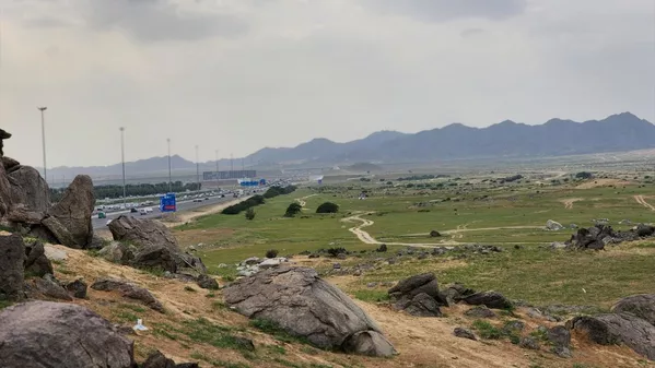 Mekke'de yağışların ardından dağlar ve ovalar yeşile büründü - Sputnik Türkiye