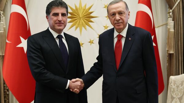 Cumhurbaşkanı Recep Tayyip Erdoğan, Irak Kürt Bölgesel Yönetimi (IKBY) Başkanı Neçirvan Barzani'yi kabul etti. - Sputnik Türkiye