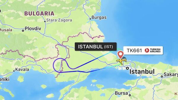 Sınır dışı edilen Tunuslu yolcu kabin memuruna saldırdı: THY uçağı acil iniş yaptı - Sputnik Türkiye