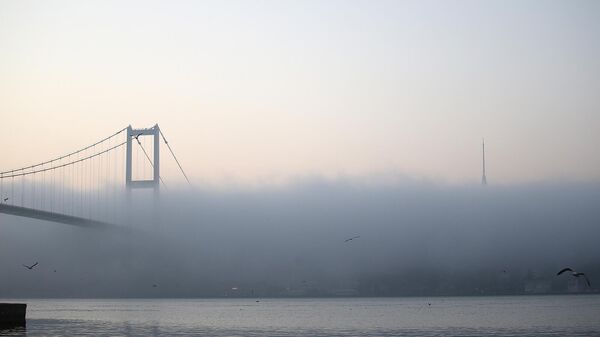 İstanbul Boğazı'nda gemi trafiği sis nedeniyle çift yönlü durduruldu - Sputnik Türkiye