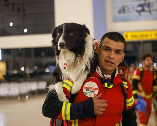 Meksika meşhur arama kurtarma köpeklerini Türkiye'ye gönderdi - 08.02.2023,  Sputnik Türkiye
